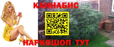 мдпв Мариинск