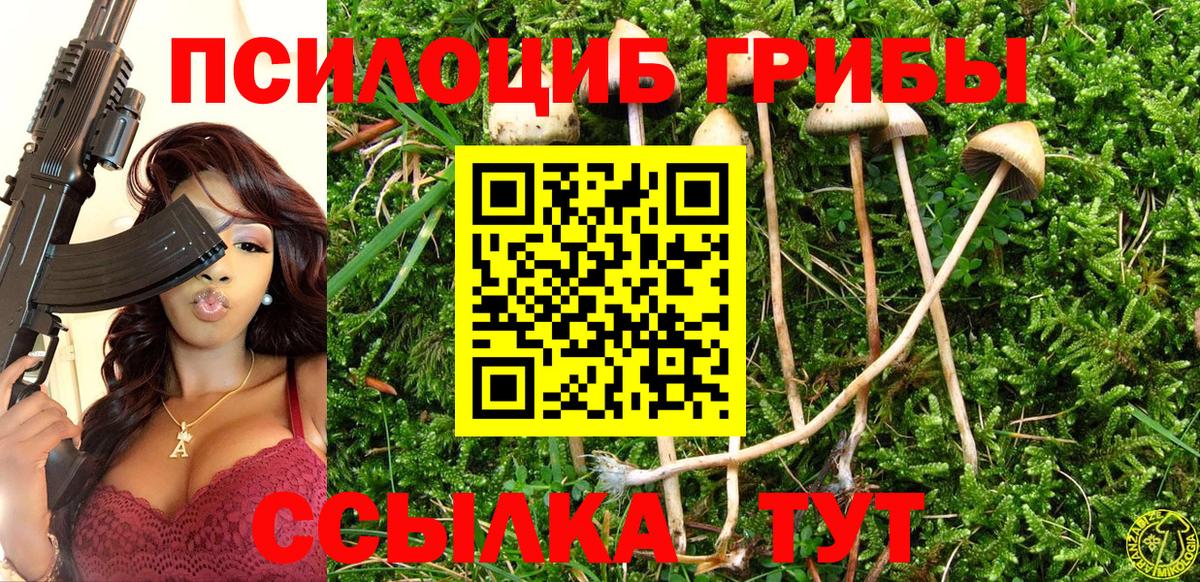 Галлюциногенные грибы GOLDEN TEACHER  Вход с VPN  Галлюциногенные грибы Psilocybine cubensis  Спасск-Дальний 