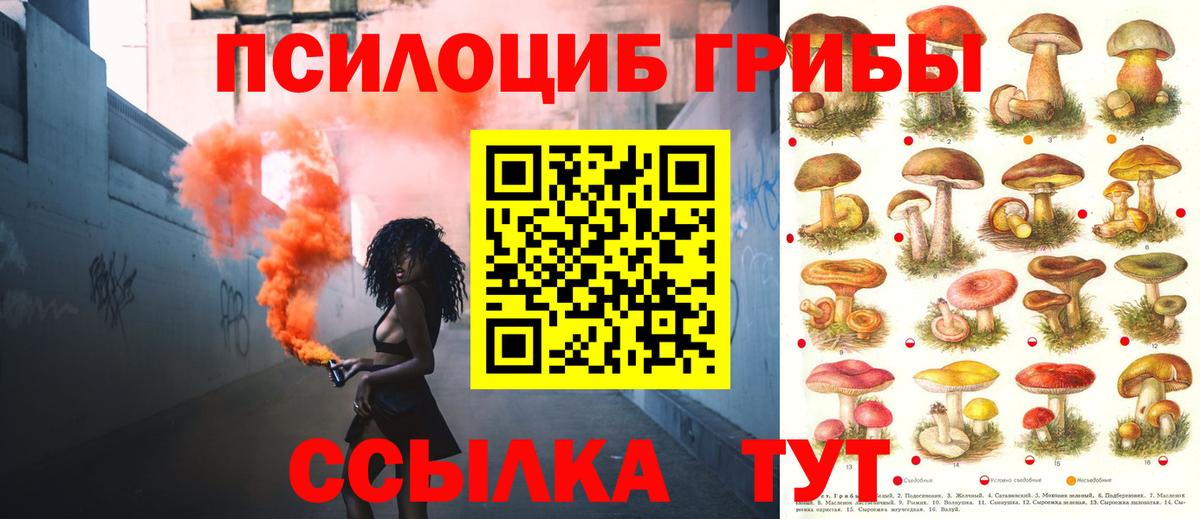 Галлюциногенные грибы GOLDEN TEACHER Спасск-Дальний